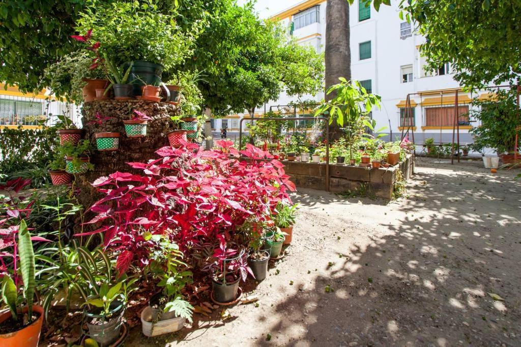 סביליה Apartamento A Los Pies Del Alcazar מראה חיצוני תמונה